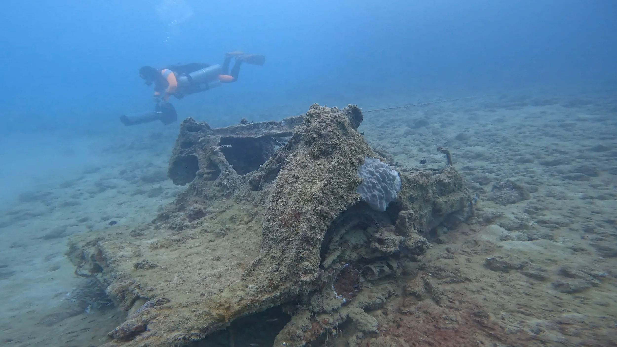 TAKE DIVE TEC FUN3.JPG