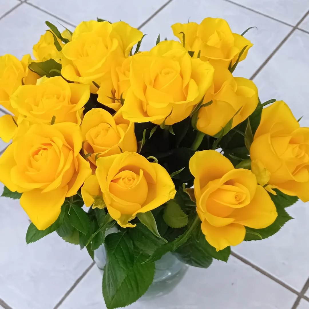 Thank you @mercurial_moth for a delightful Spring Equinox celebration. 
Thank you for my beautiful Roses and 'The Stirring' ....IYKYK 😍
#springequinox #grateful #yellowroses💛🌹