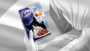 Felix the cat