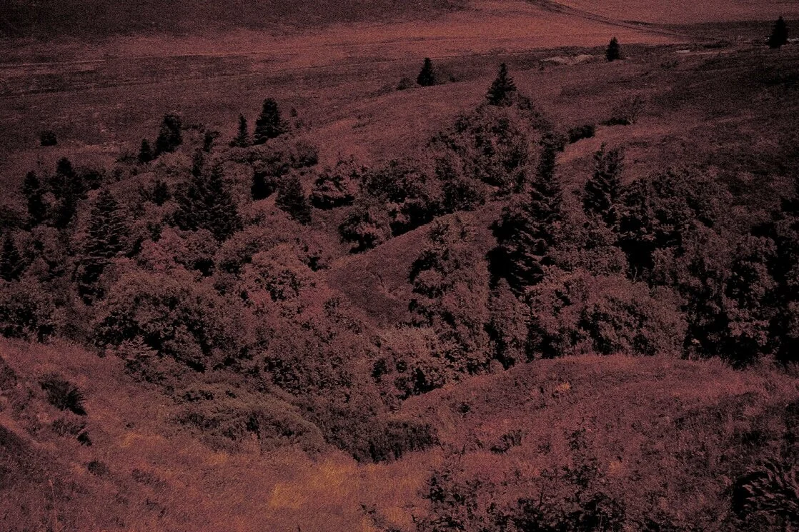 martin-quay_photo_lands_4.jpg