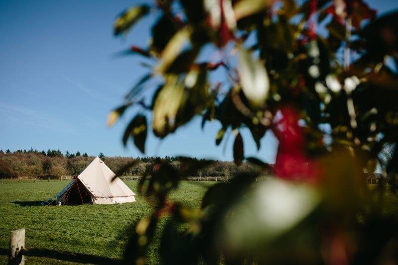 Seldon_Barn_Shoot-065.jpg