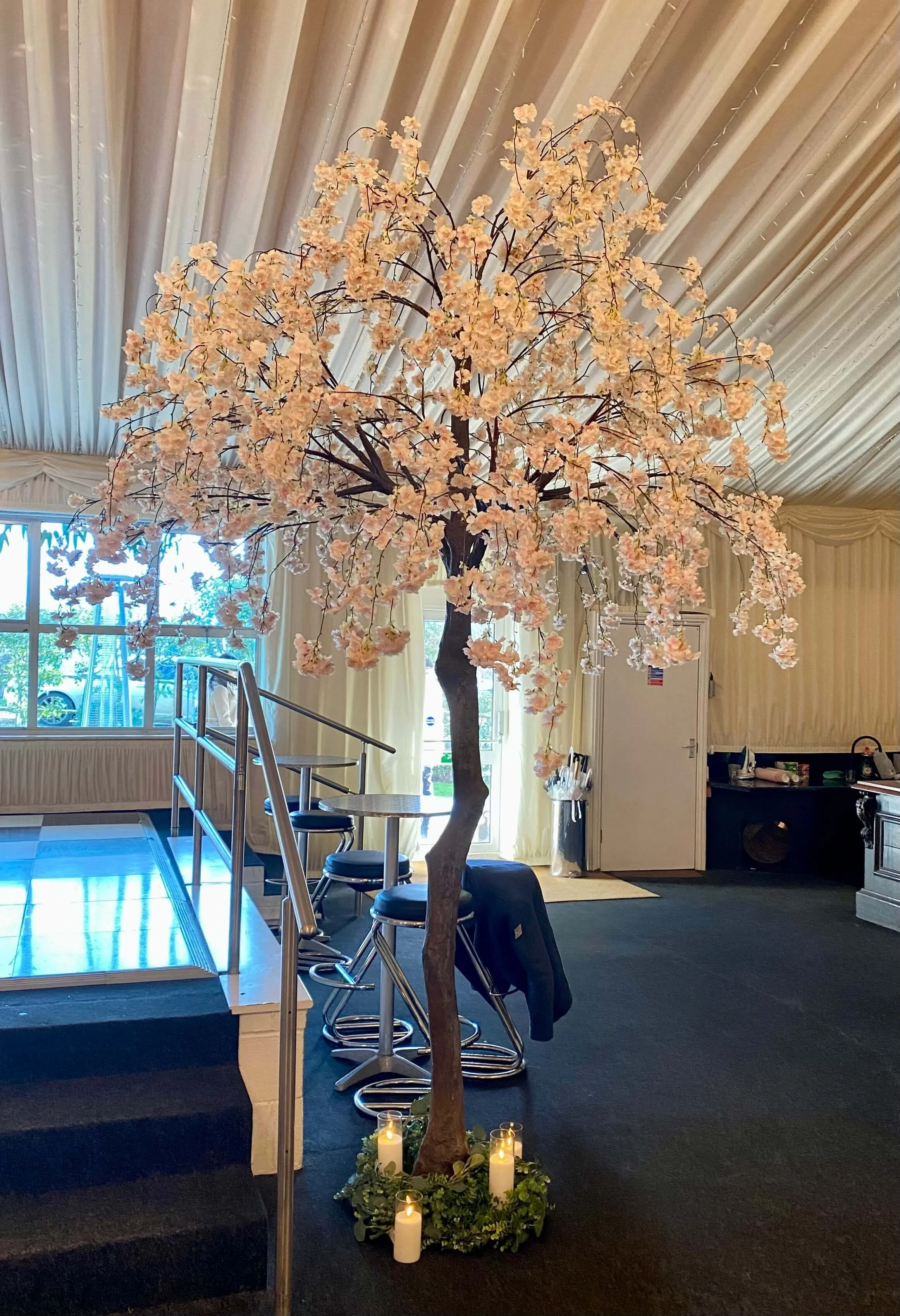 Statement tree hire for wedding event and party — To Have & To Hire