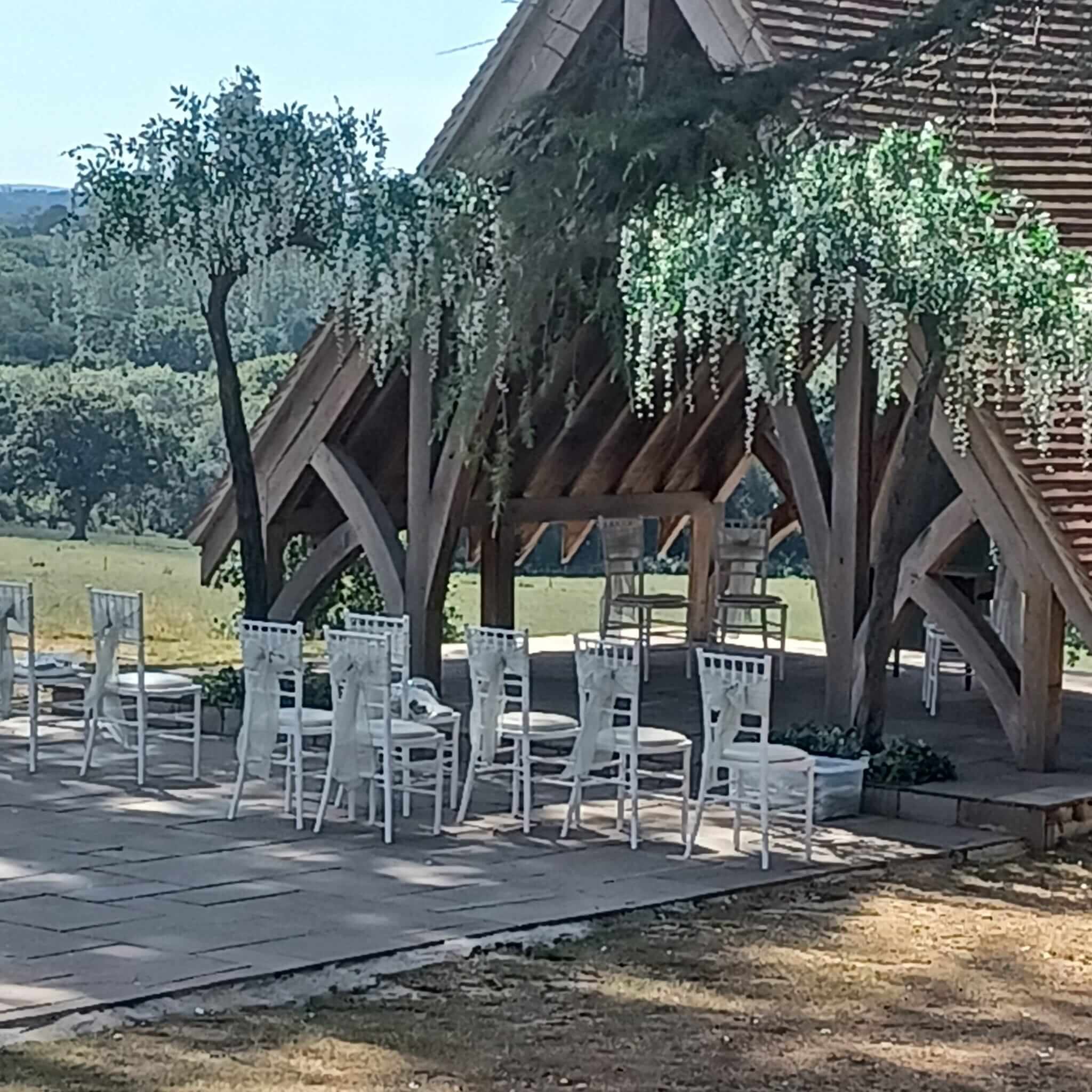 wedding_ceremony_outdoor_tree_wisteria_Sussex_highleymanor.jpg