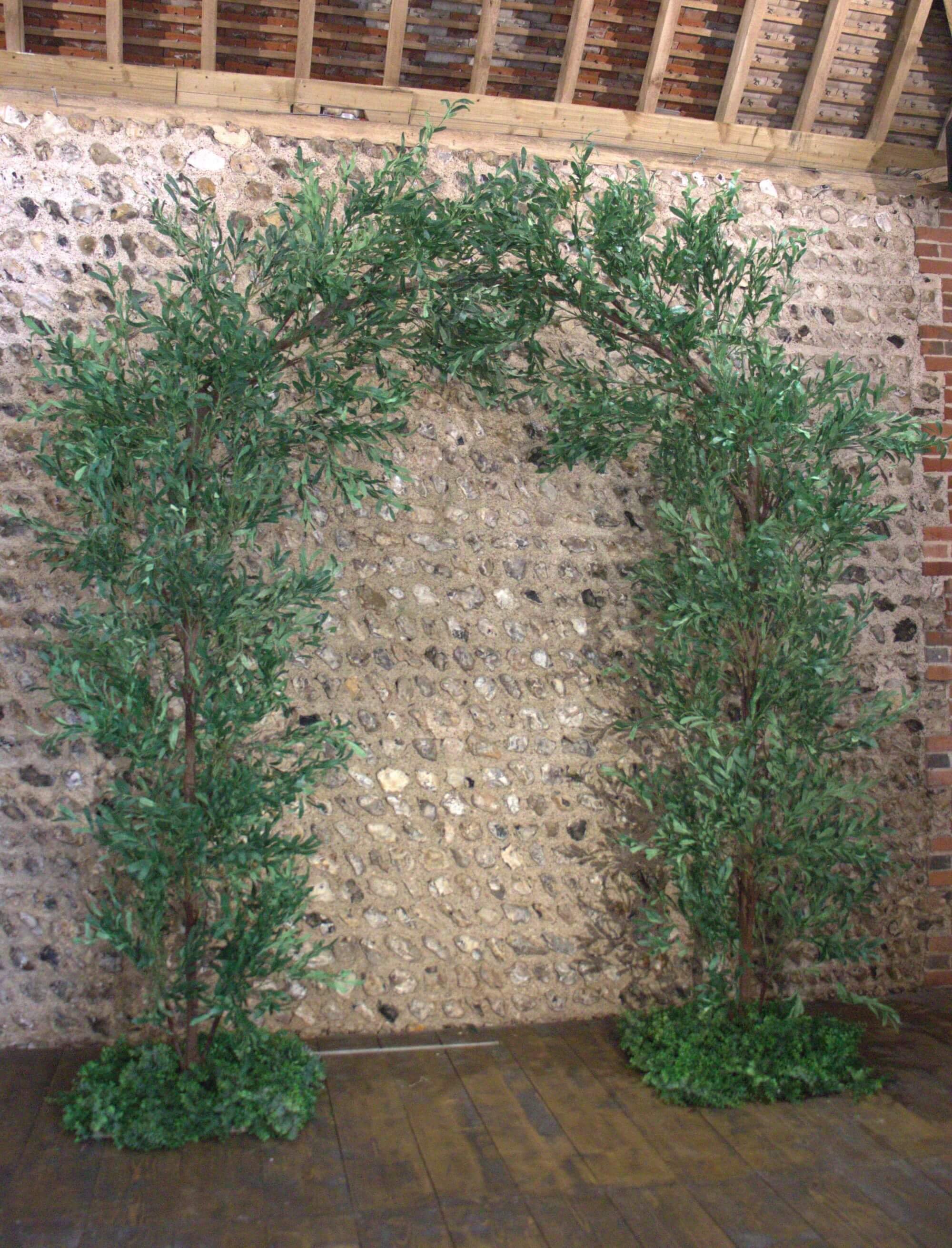 Ruscus_Branch_arch.jpg
