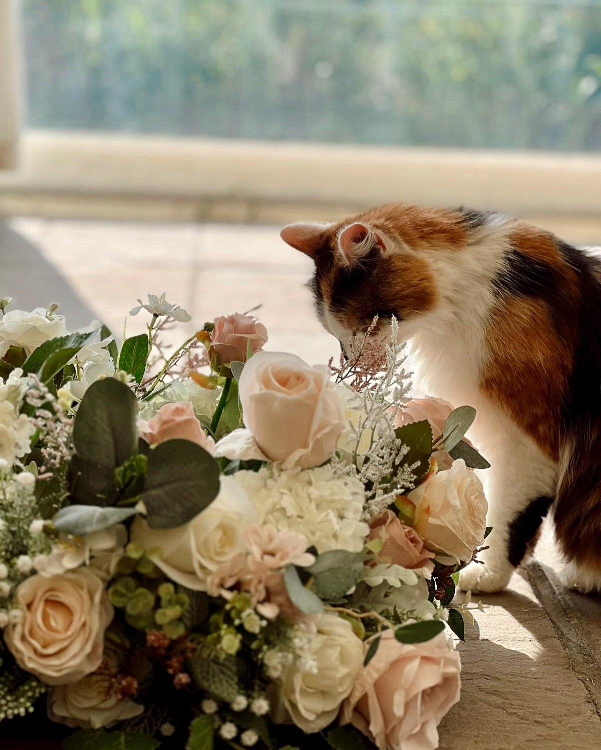 Our florals passing a quick quality check ☺️🌿🐈