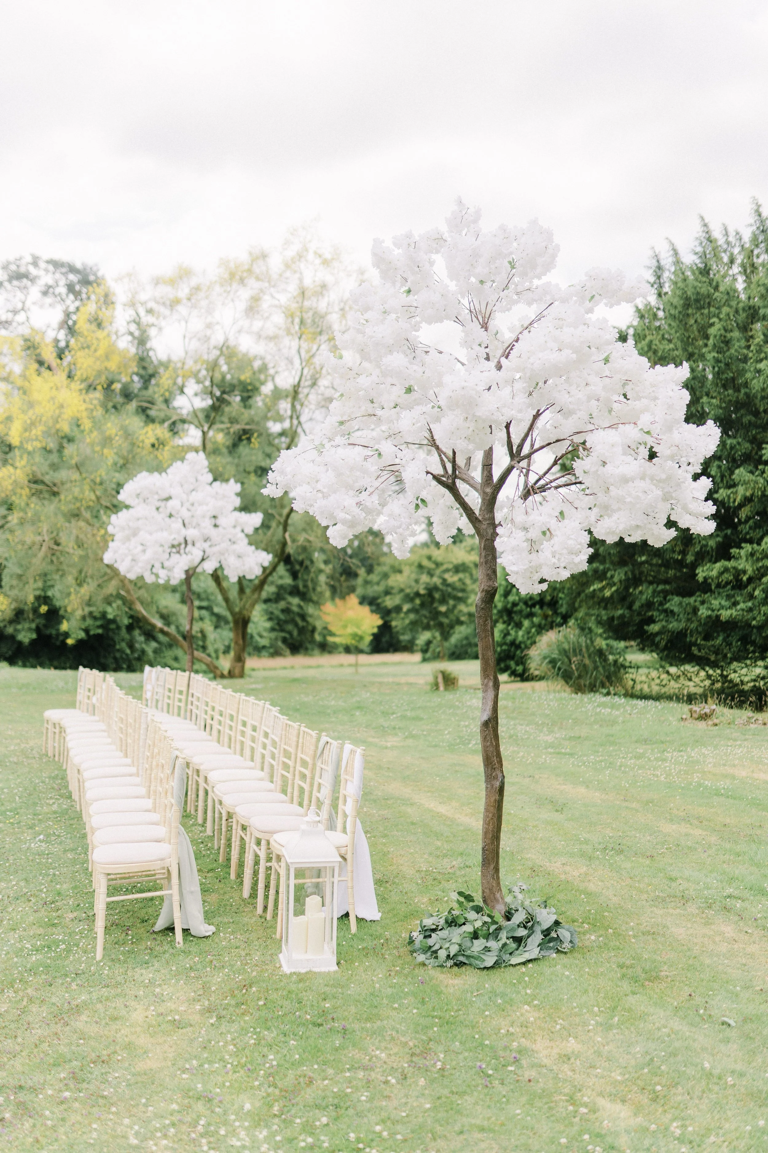 TREES/FOLIAGE/FLORALS