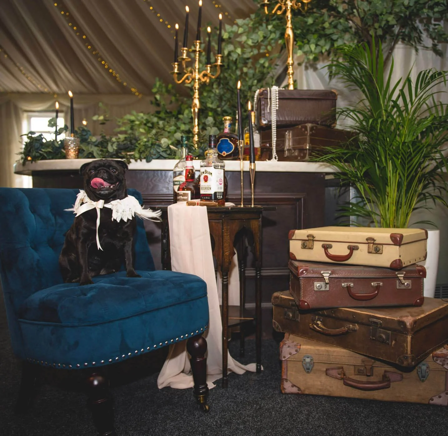Dark Blue Feature Chairs, ideal for styling your wedding or events