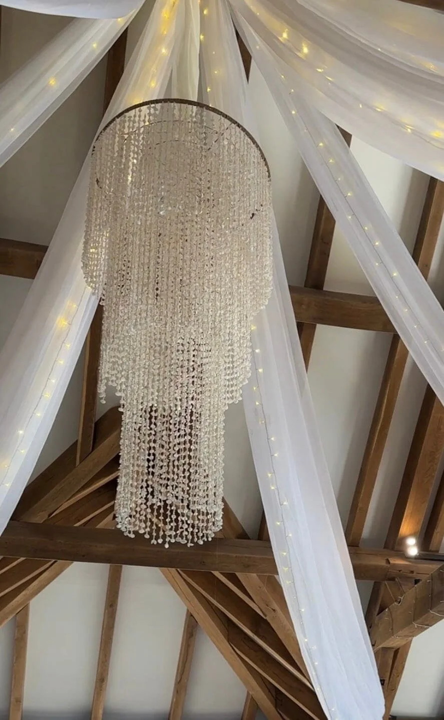 Shell Chandelier - Small — Default — D.0