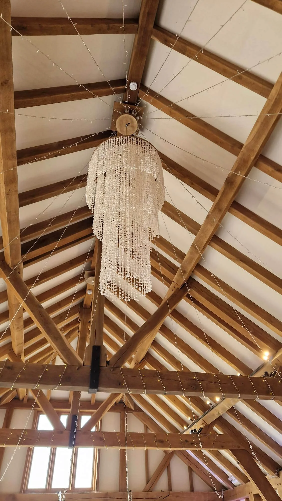 Shell Chandelier - Large