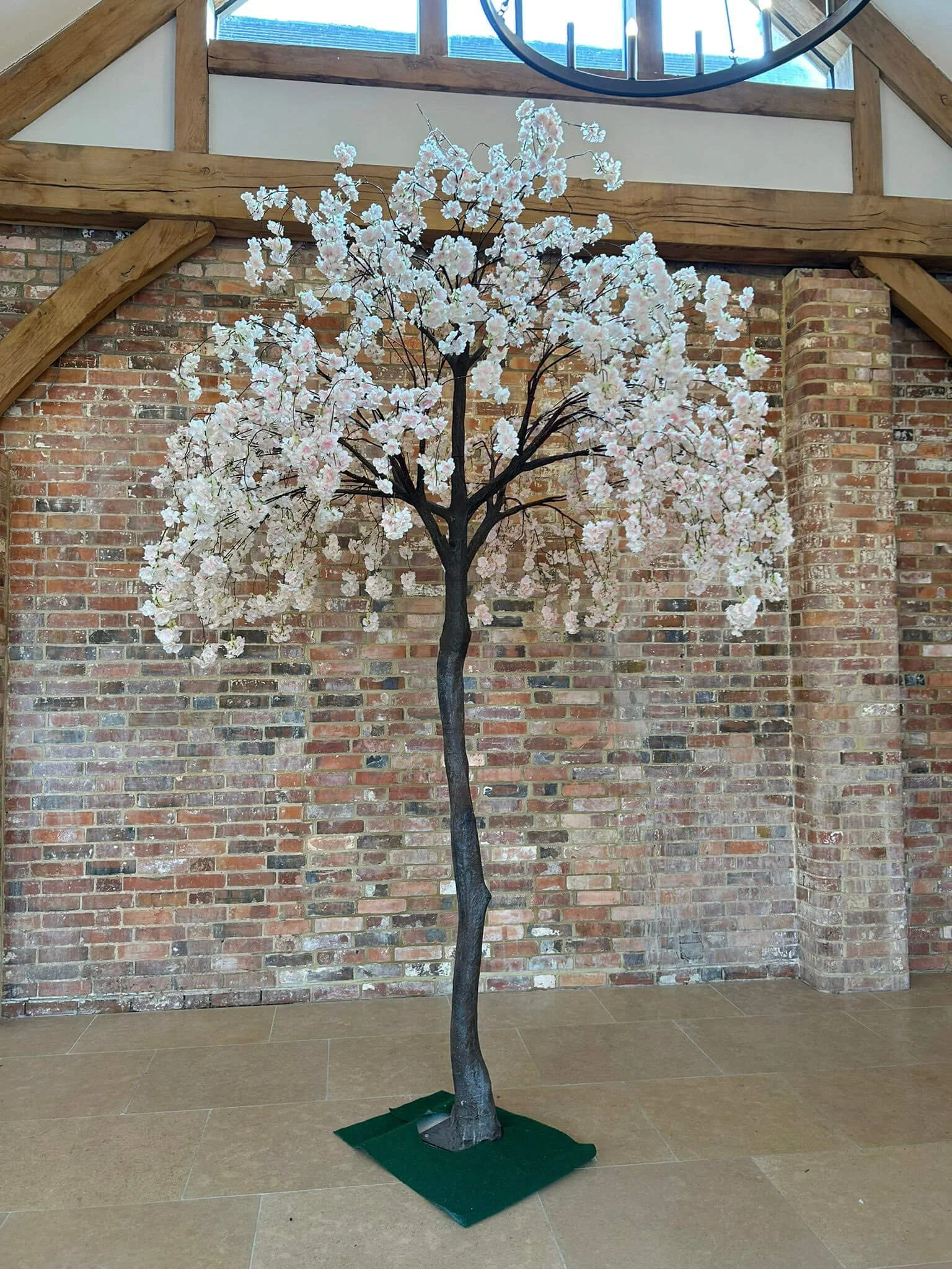 Statement Tree - 3.4m - Hanging Blossom (Pale Pink) with pale pink blossoms on dark branches, available to hire for your wedding or event.