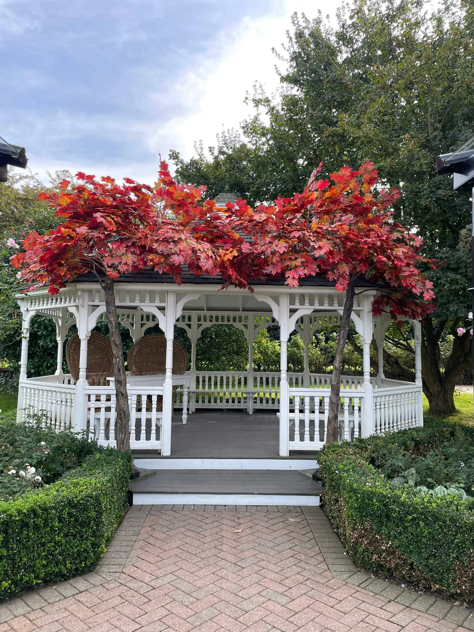 Arch Trees - Autumn