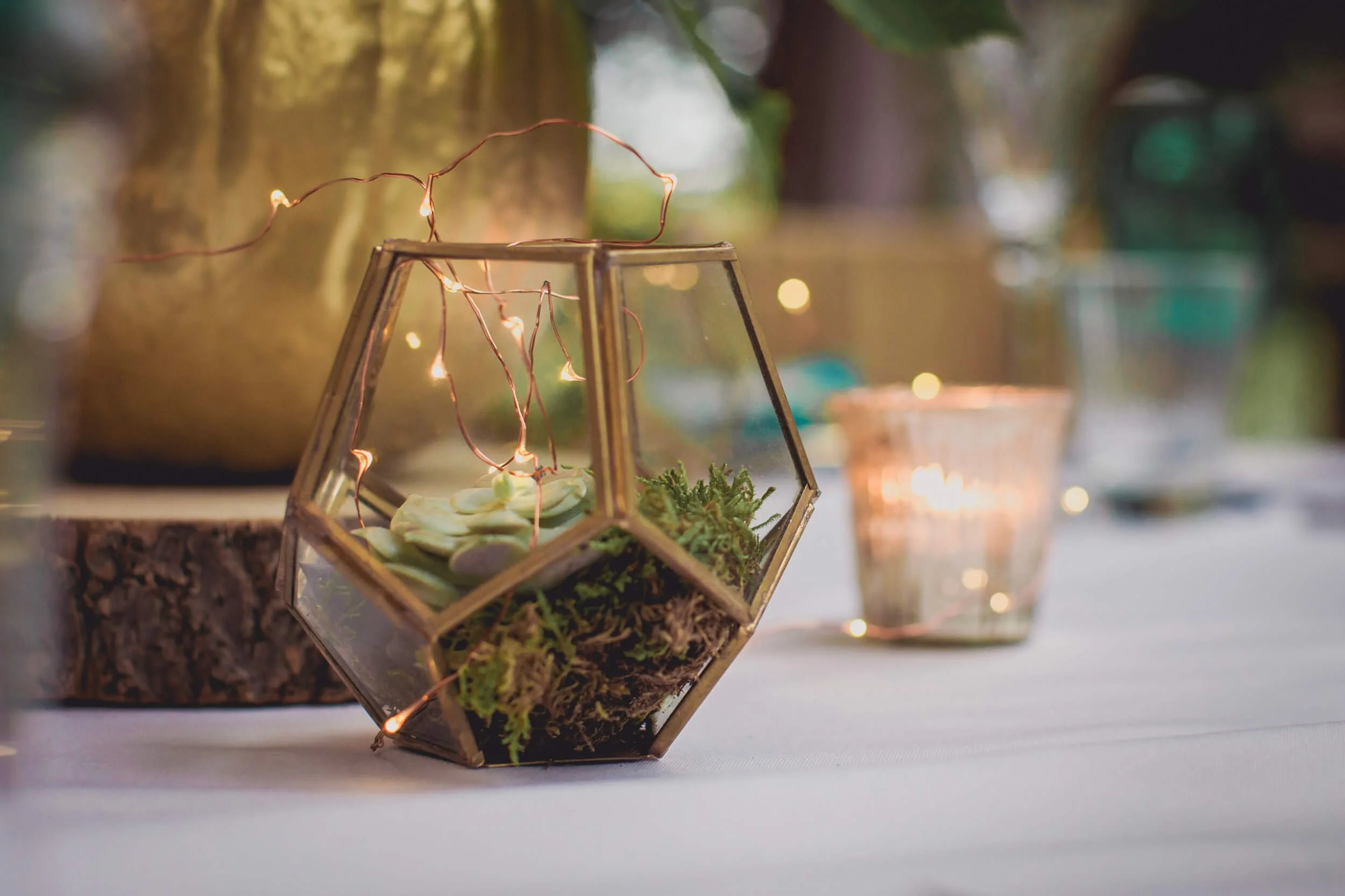 Gold Tealight Terrariums with moss and succulent inside, available to hire for your wedding or event.