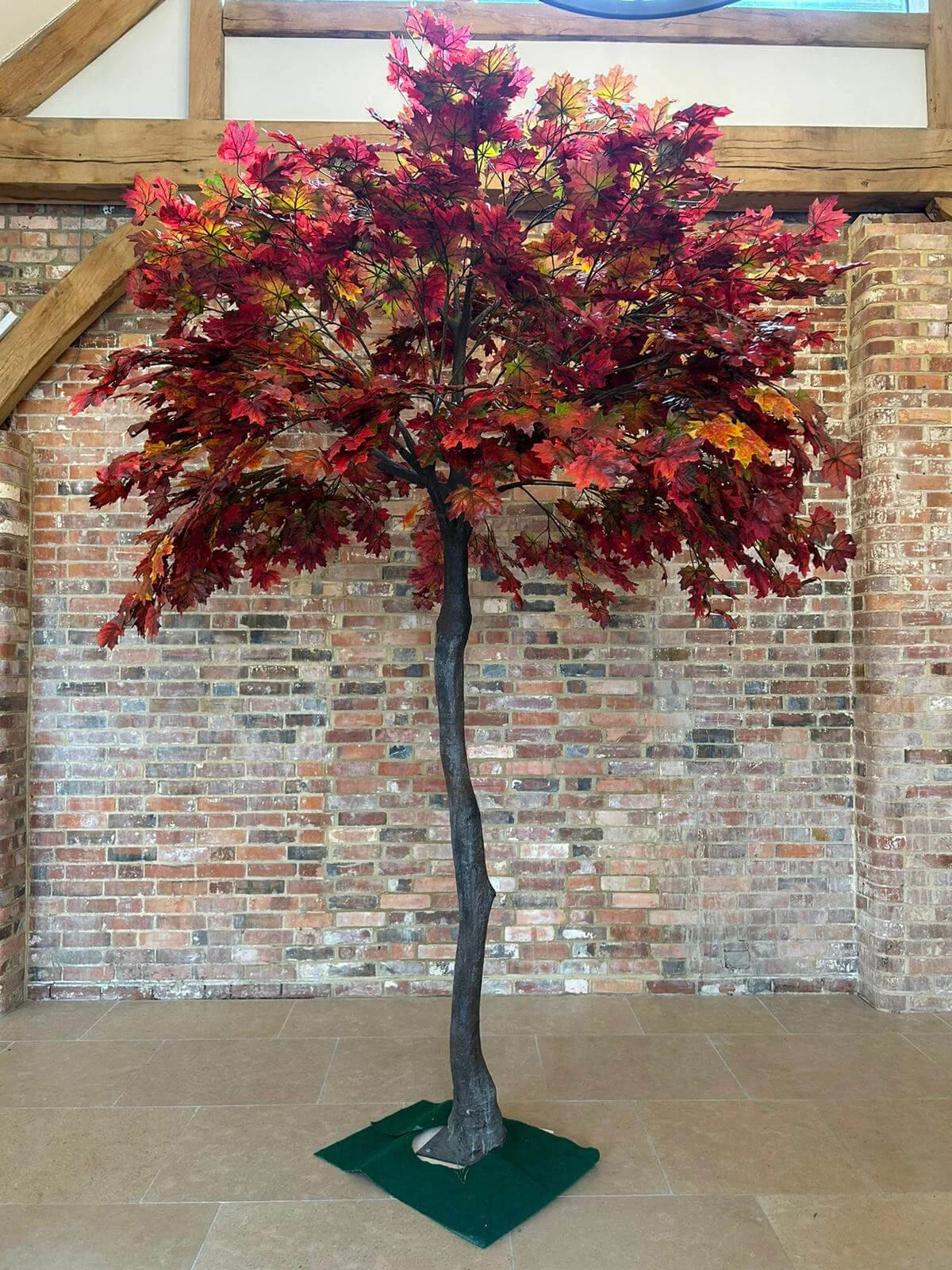 Statement Tree - 3.4m - Autumn