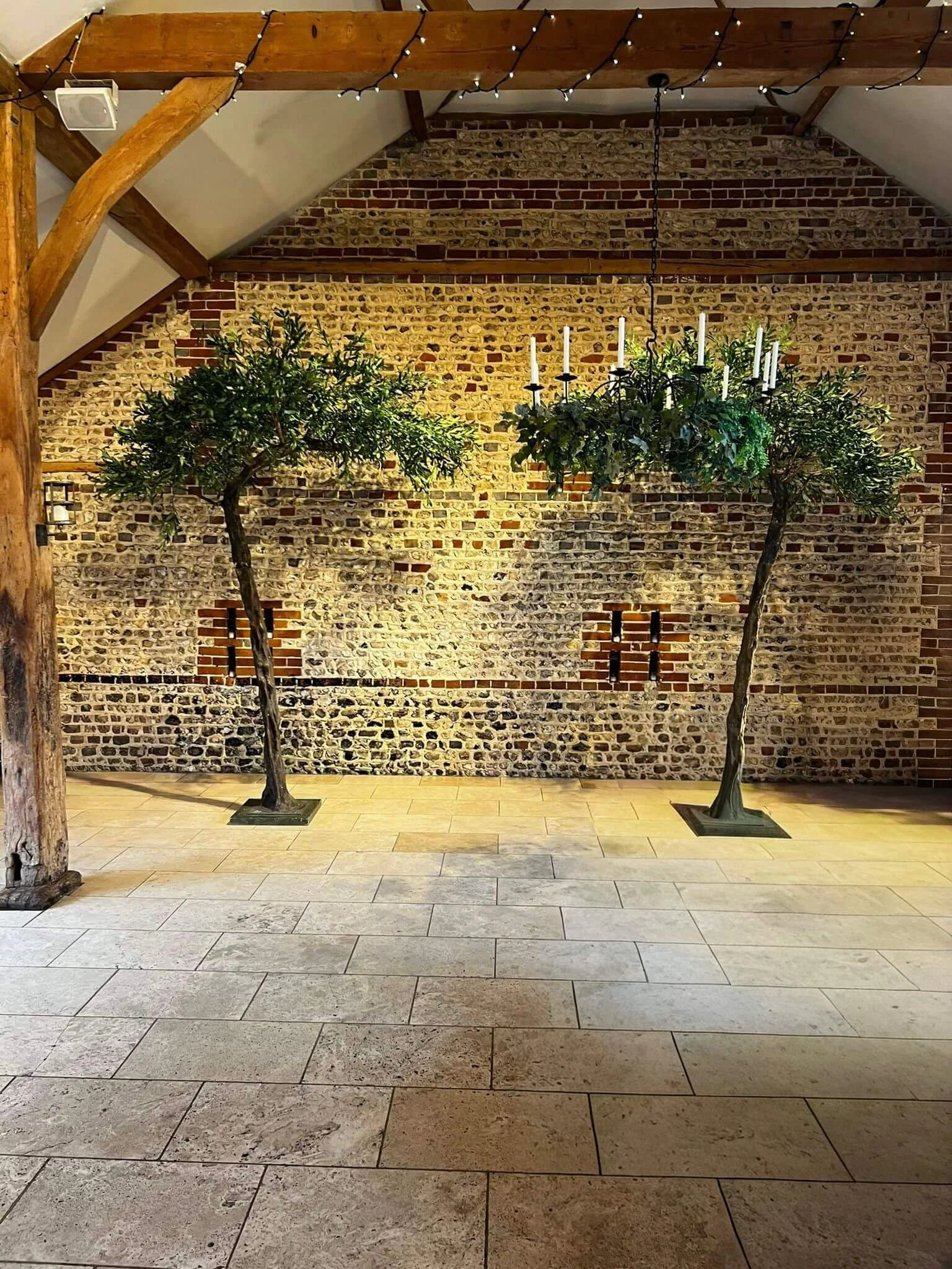 Arch Trees - Ruscus