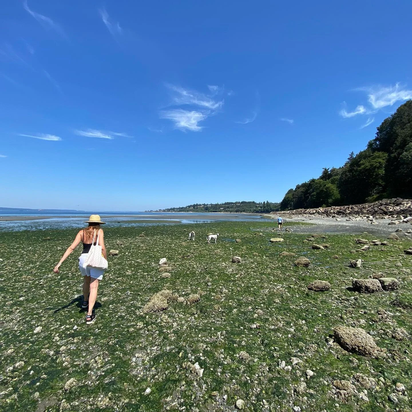 I forg&aring;rs havde jeg f&oslash;dselsdag. 
Jeg brugte dagen sammen med min familie i Seattle, smuk natur og meget stor taknemmelighed over livet s&aring;dan i det hele taget 🙏💞😎Tak til alle jer der skrev s&oslash;de hilsner😘