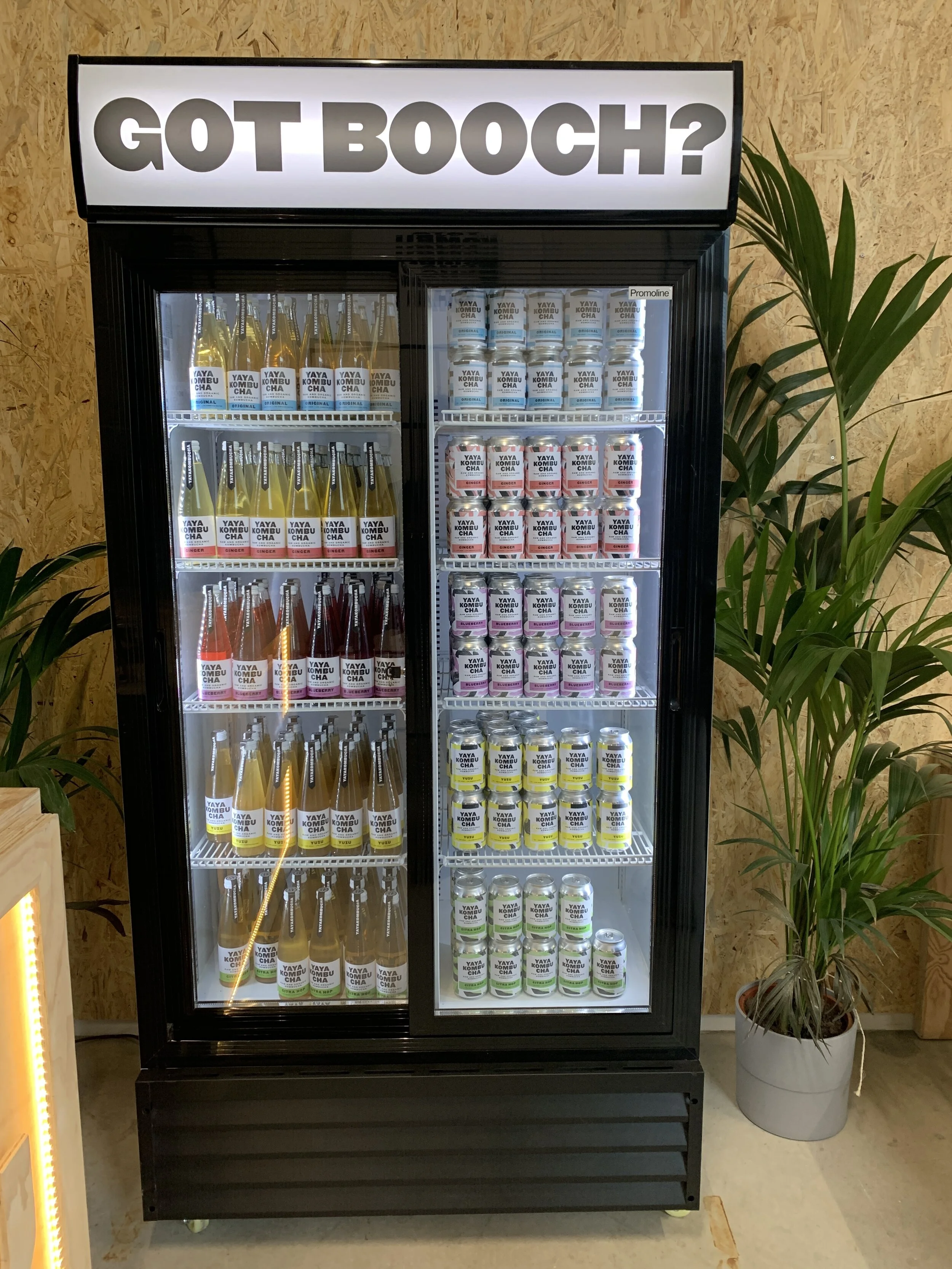 Onze nieuwe favoriet: YAYA Kombucha