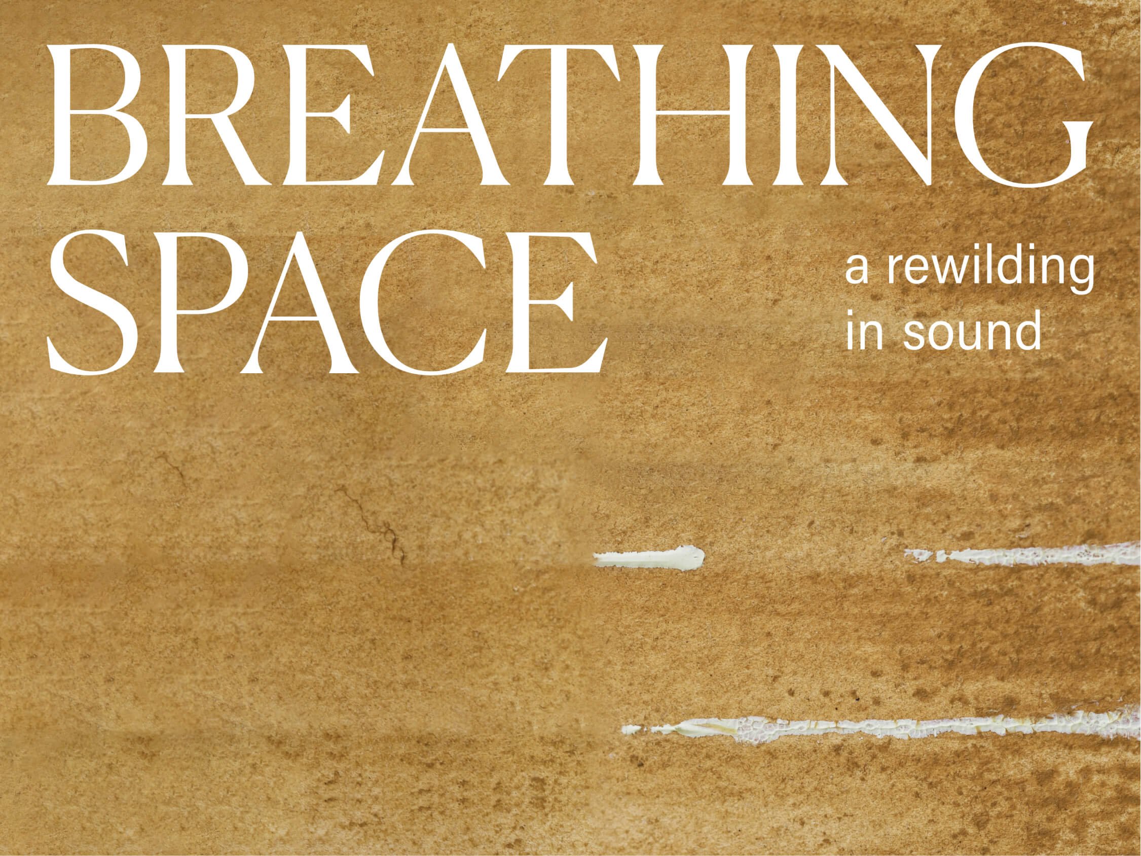 Breathing-Space-a-rewilding-in-sound.jpg