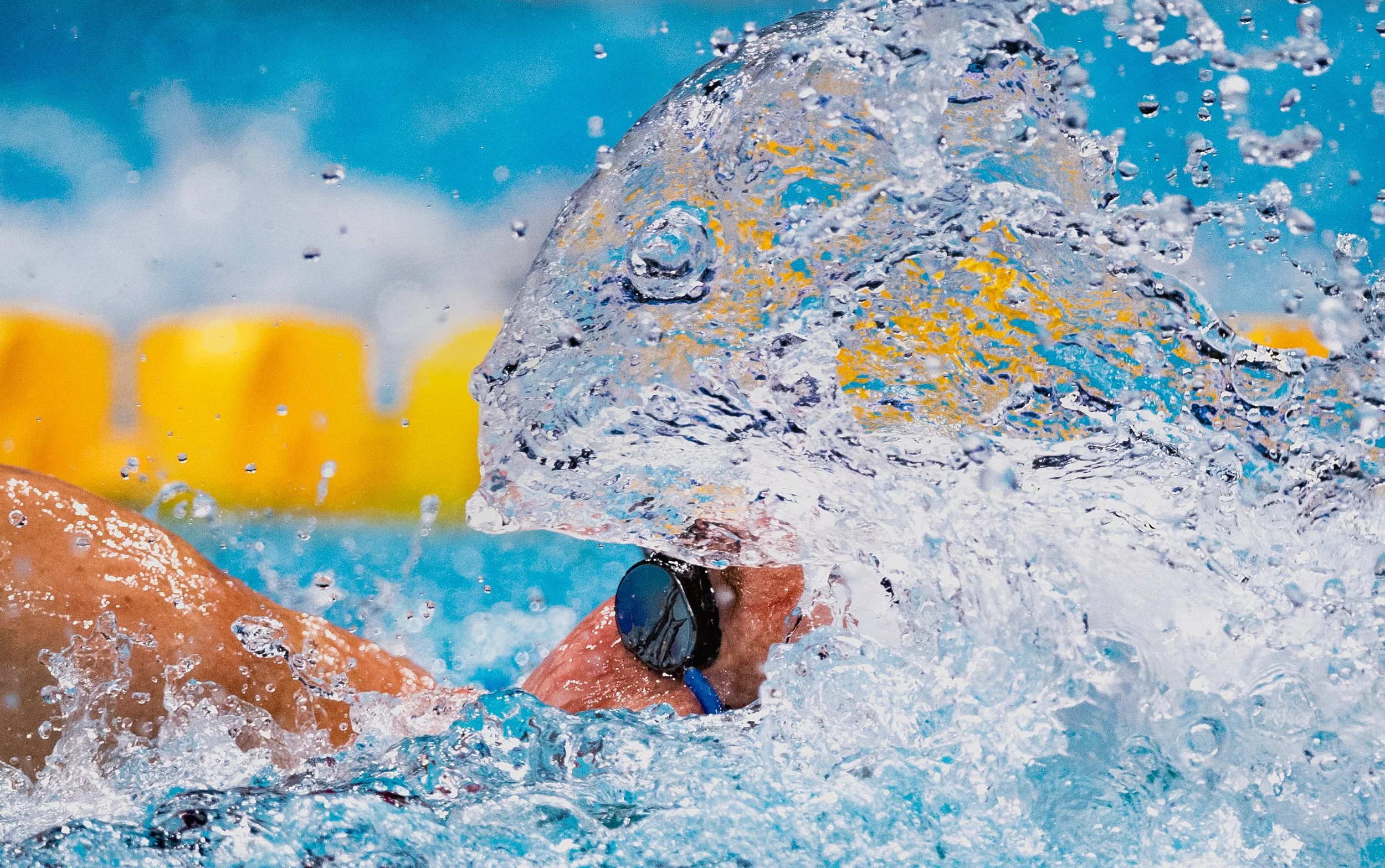 Als Sportfotograf bei der Schwimm-WM für Nikon