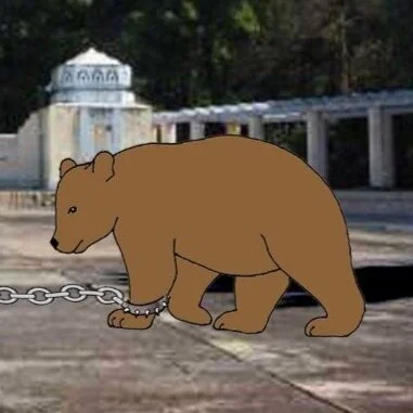 EL OSO DEL GANSO Y LO QUE REVELA