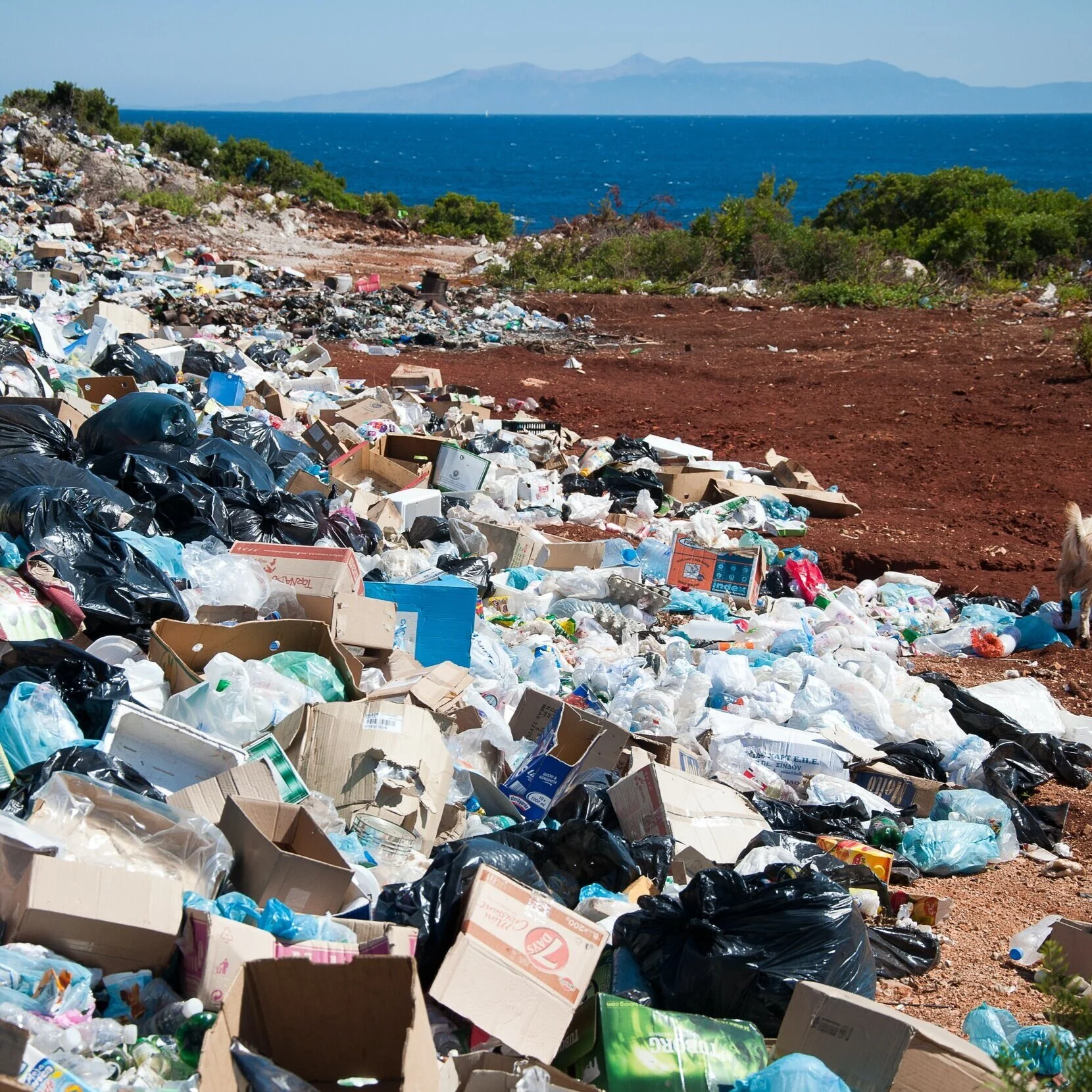 LA DISYUNTIVA DE MAYOR RELEVANCIA DEL MUNDO MODERNO