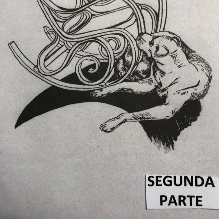 LOS PERFECTOS (SEGUNDA PARTE)