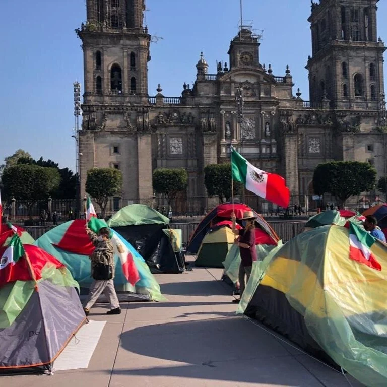 ¿POR QUÉ DECIDÍ APOYAR A FRENA?