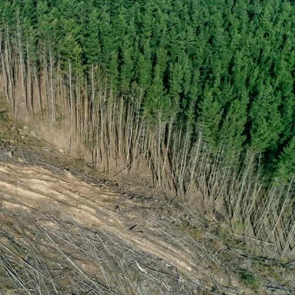 GENOCIDIO Y ECOCIDIO