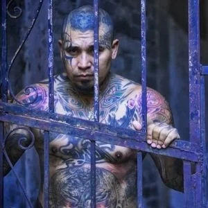 EL MOTÍN DE LA ACORDADA Y MORENA