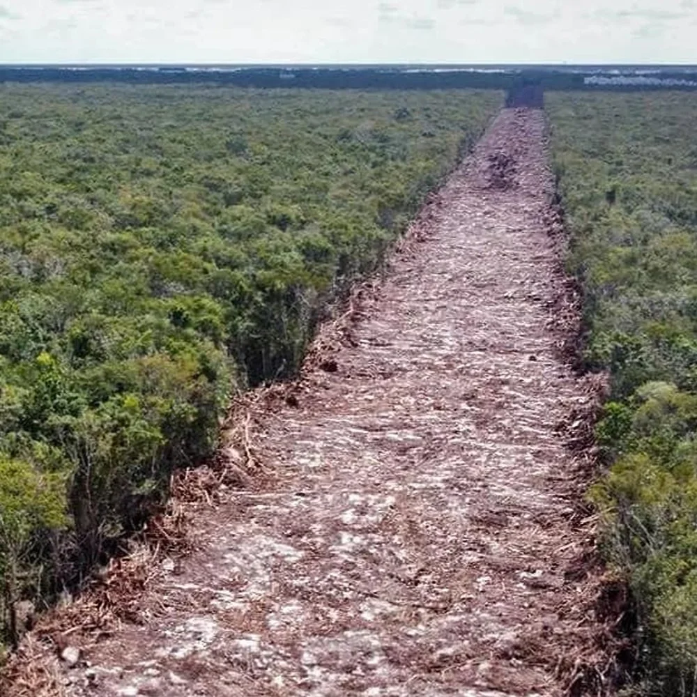 EL TREN DE LA MUERTE
