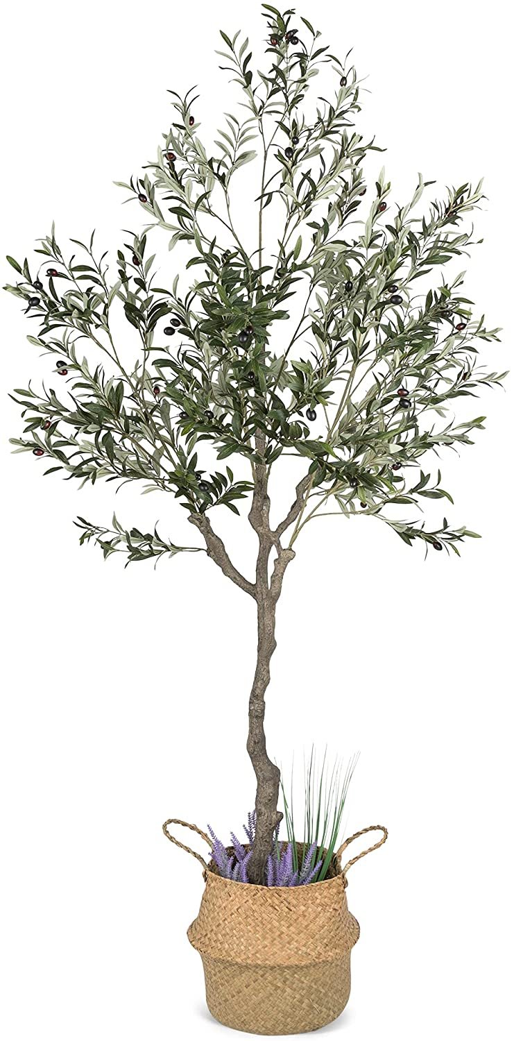 Olive Tree 82"