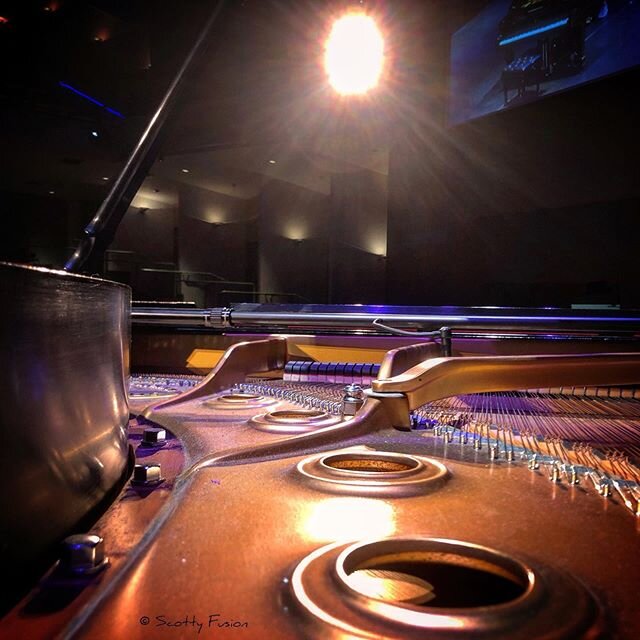 Remember concerts? 
Ready and waiting 3 of 5
#piano #stienwaypiano #concert #wereready #missyou