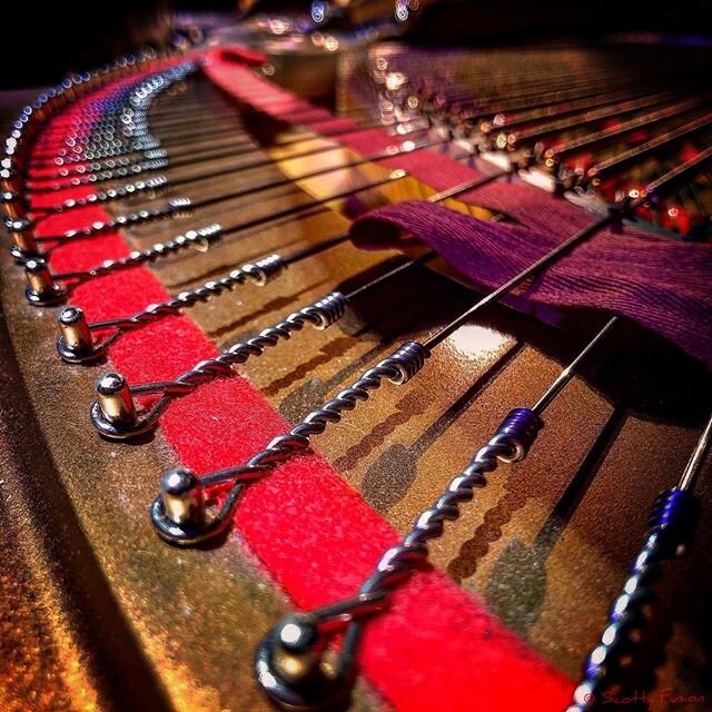 You can tune a piano but can you tuna fish?

Ready and waiting 2 of 5
#piano #steinwaypiano #stringsandthings