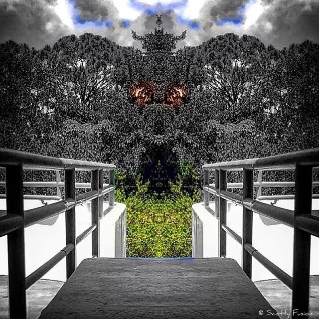 &quot;The Road Not Taken&quot; is a poem by Robert Frost, published in 1916 as the first poem in the collection Mountain Interval. Its central theme is the divergence of paths, both literally and figuratively, although its interpretation is noted for