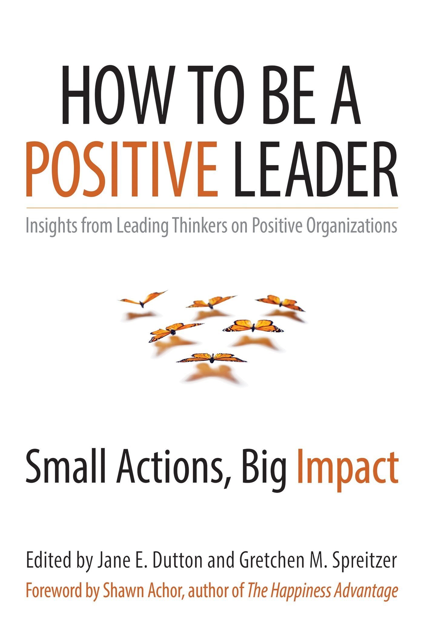 How To Be A Positive Leader: Small Actions, Big Impact - Jane Dutton, Gretchen Spreitzer