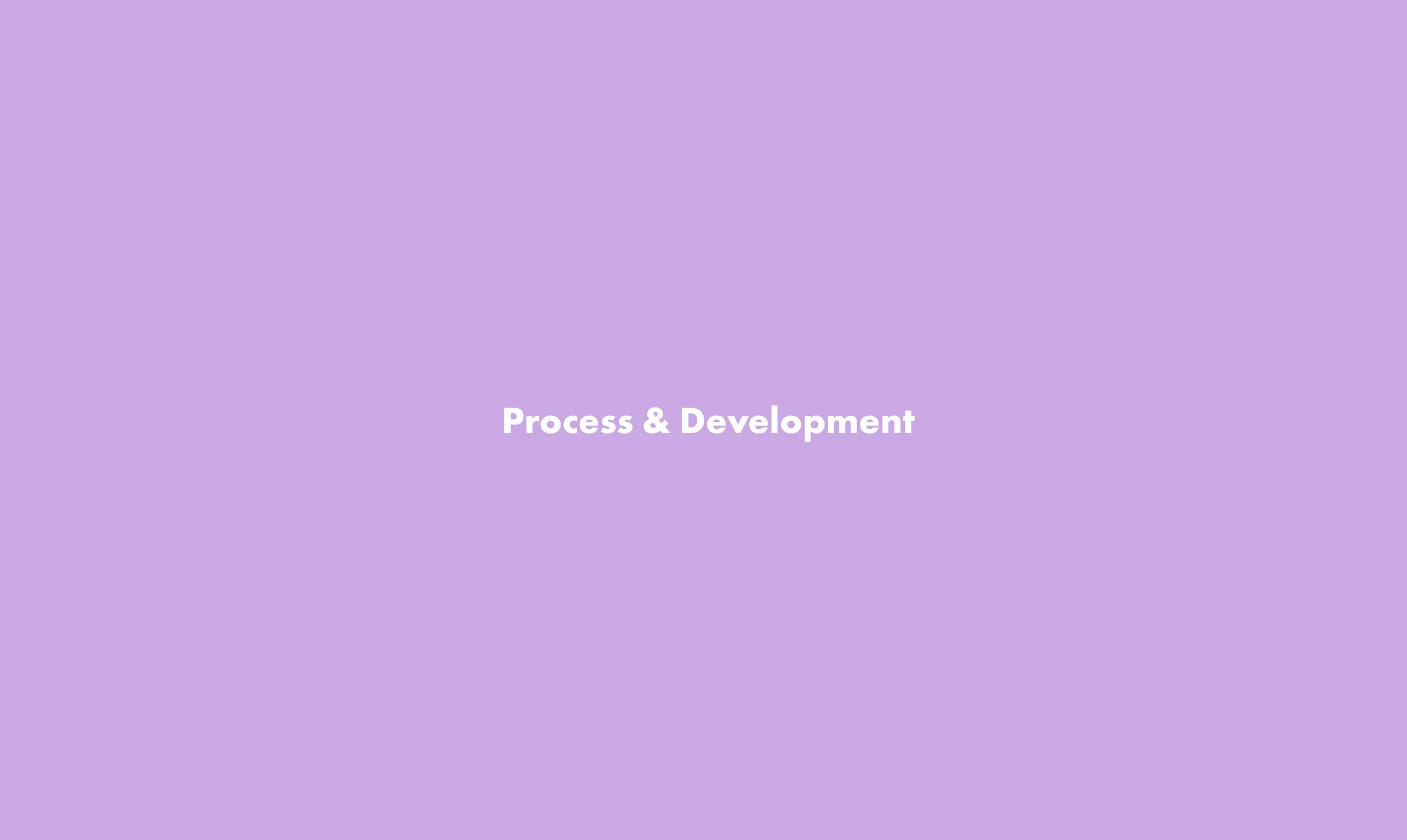 process and dev 2.jpg
