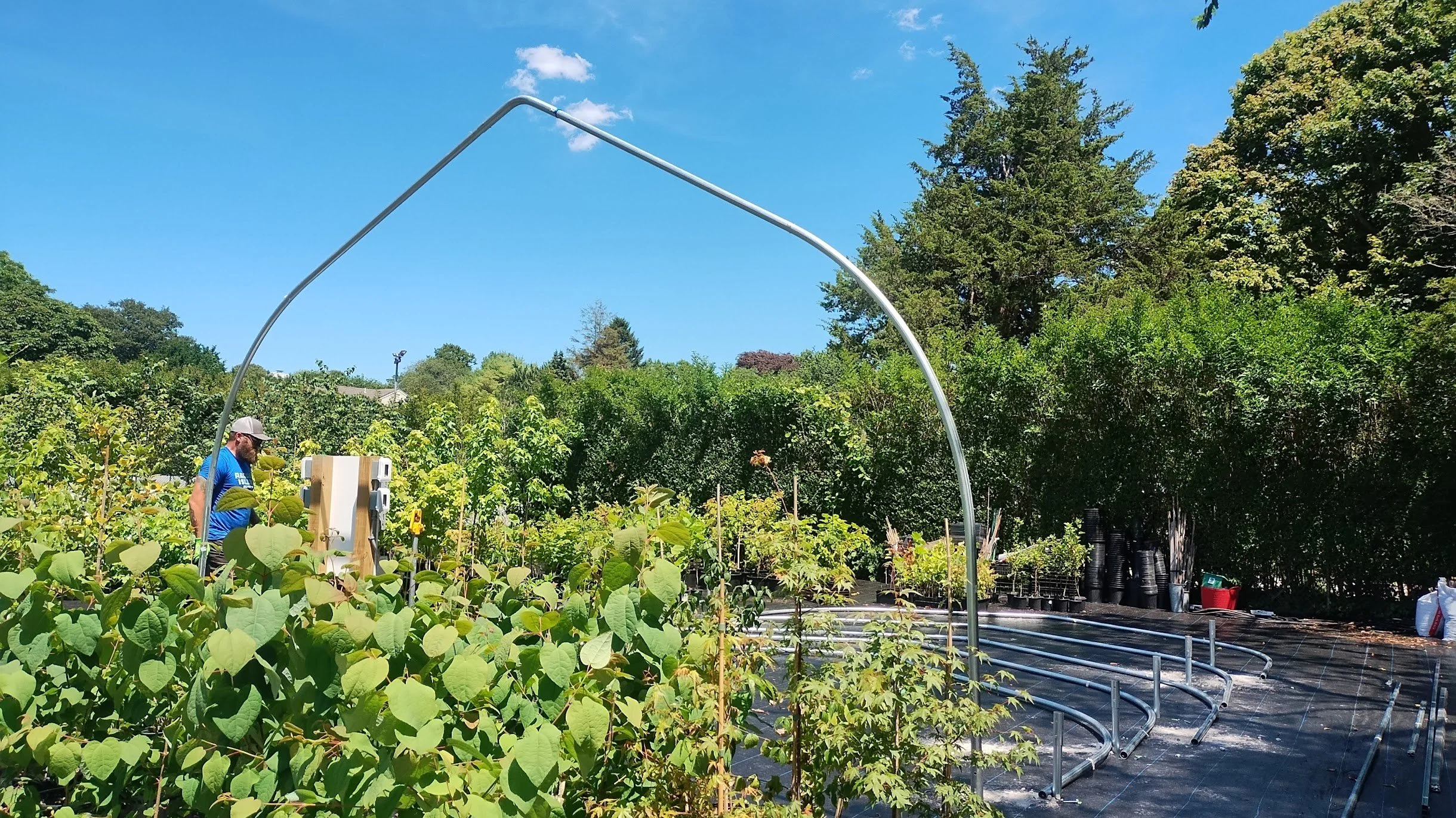 July - Our hoop house builder extraordinaire Andrew Bray putting up the first pieces of the new tree house.