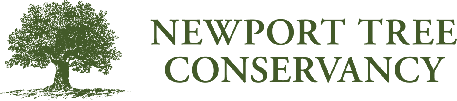 Newport Tree Conservancy