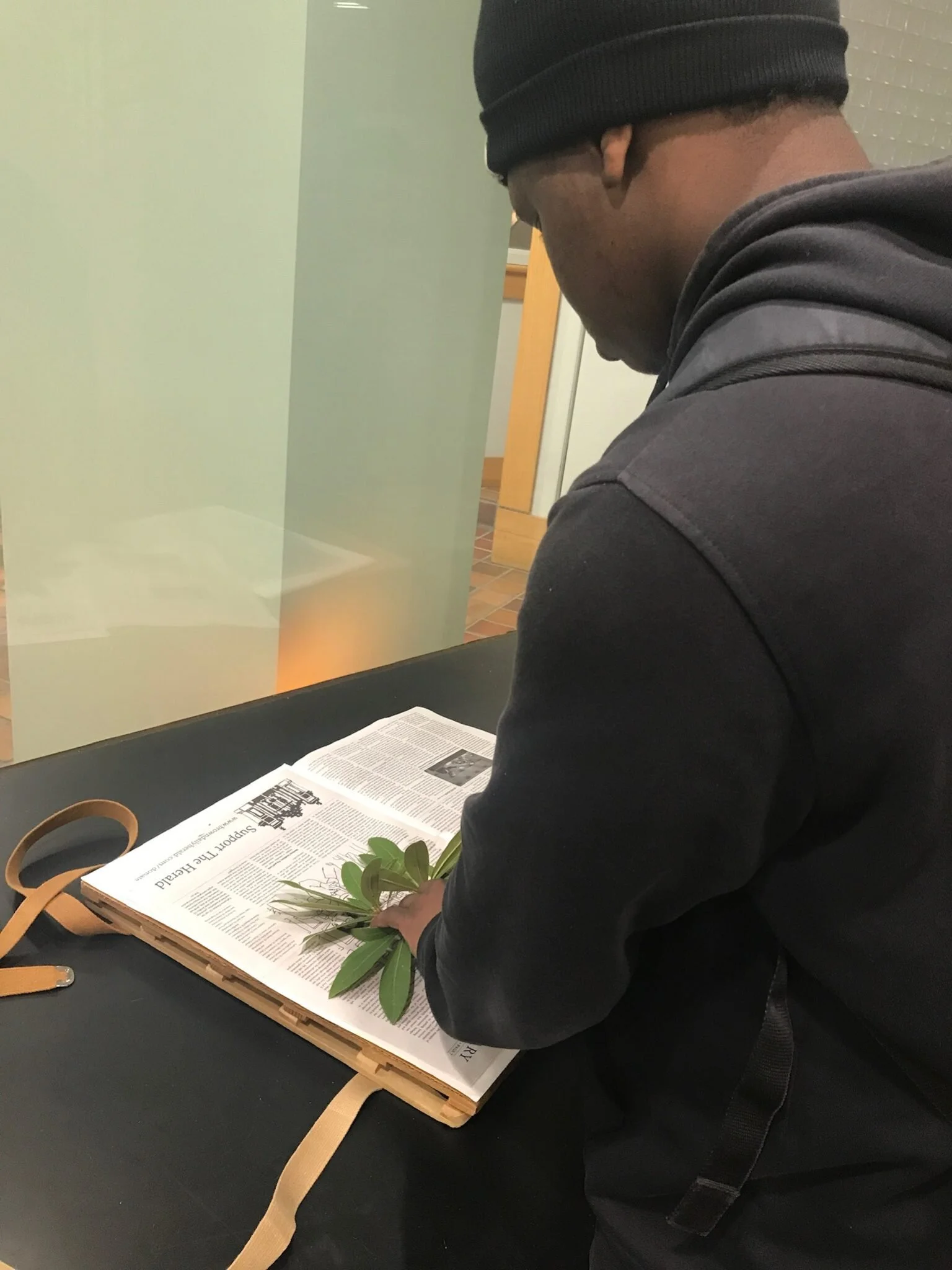 IMG_0011-Jy-herbarium.jpg