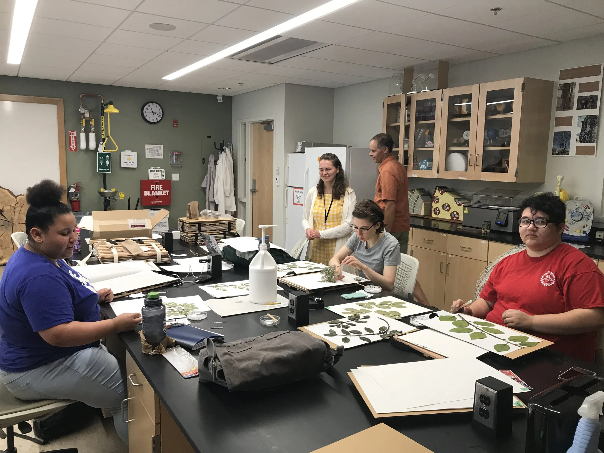 Mounting specimens in the herbarium lab in the O’Hare Academic Building at Salve Regina University.