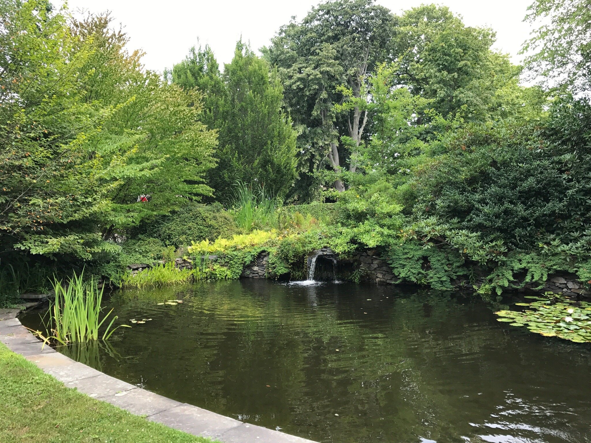 Join NTC on Wednesday, May 31st, for a tour of the charming Weetamoe Arboretum! Come with us to explore this pollinator haven, view the duck pond, and the &quot;Quarter-Acre Wood.&quot; This is a unique experience you won't want to miss! Only a very 