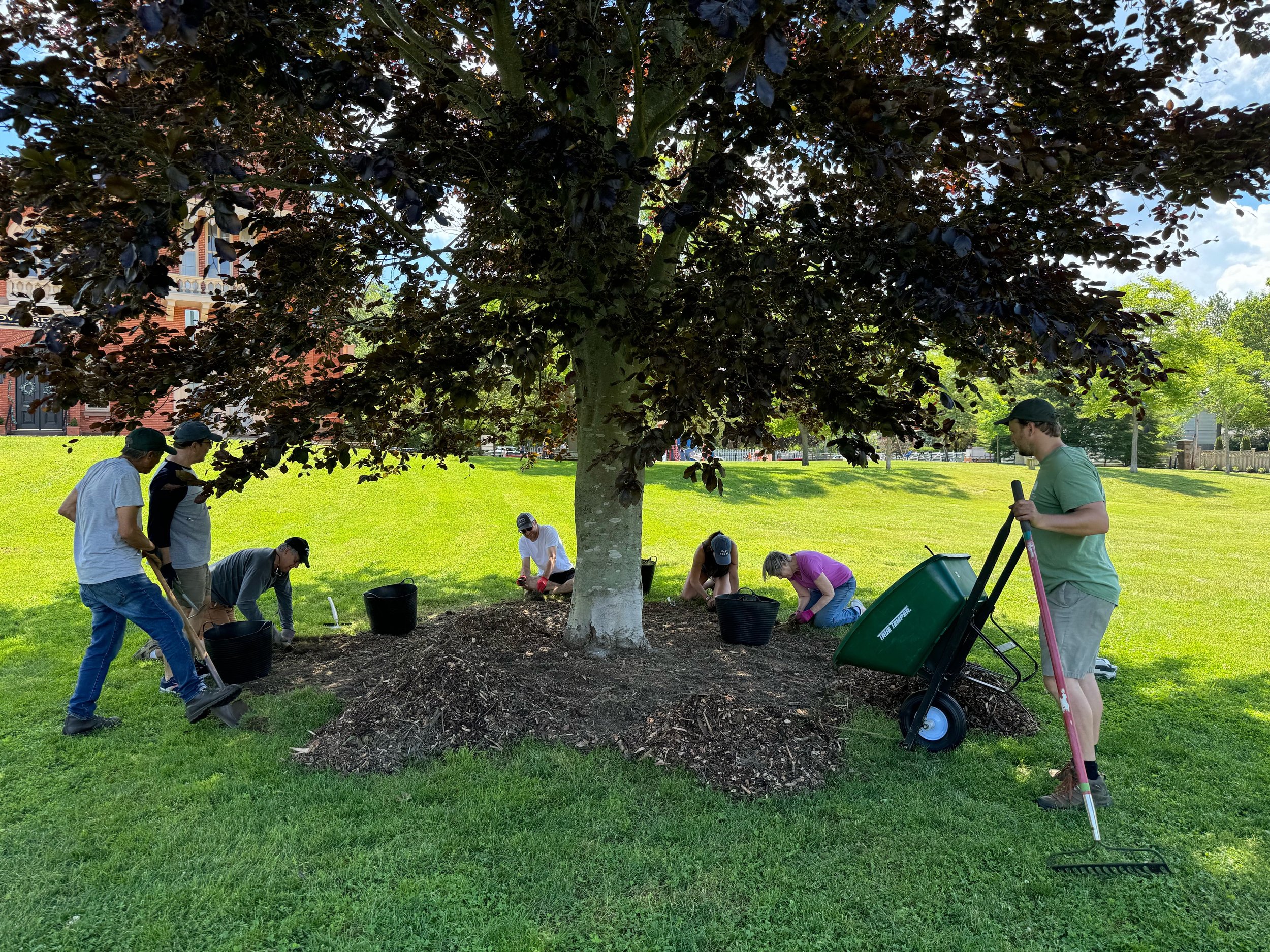 Volunteer Event: Tree Corps Morton Park