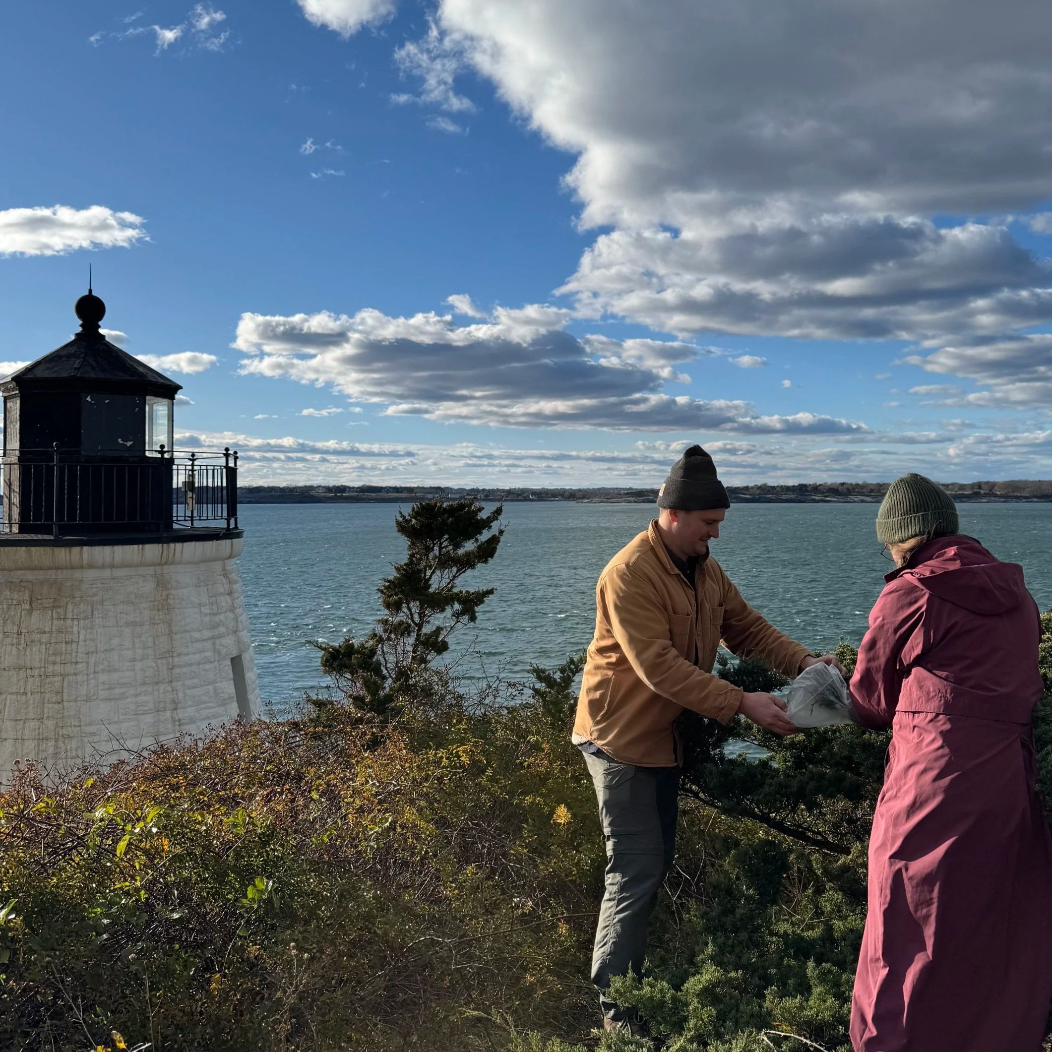 Collecting Native Seeds