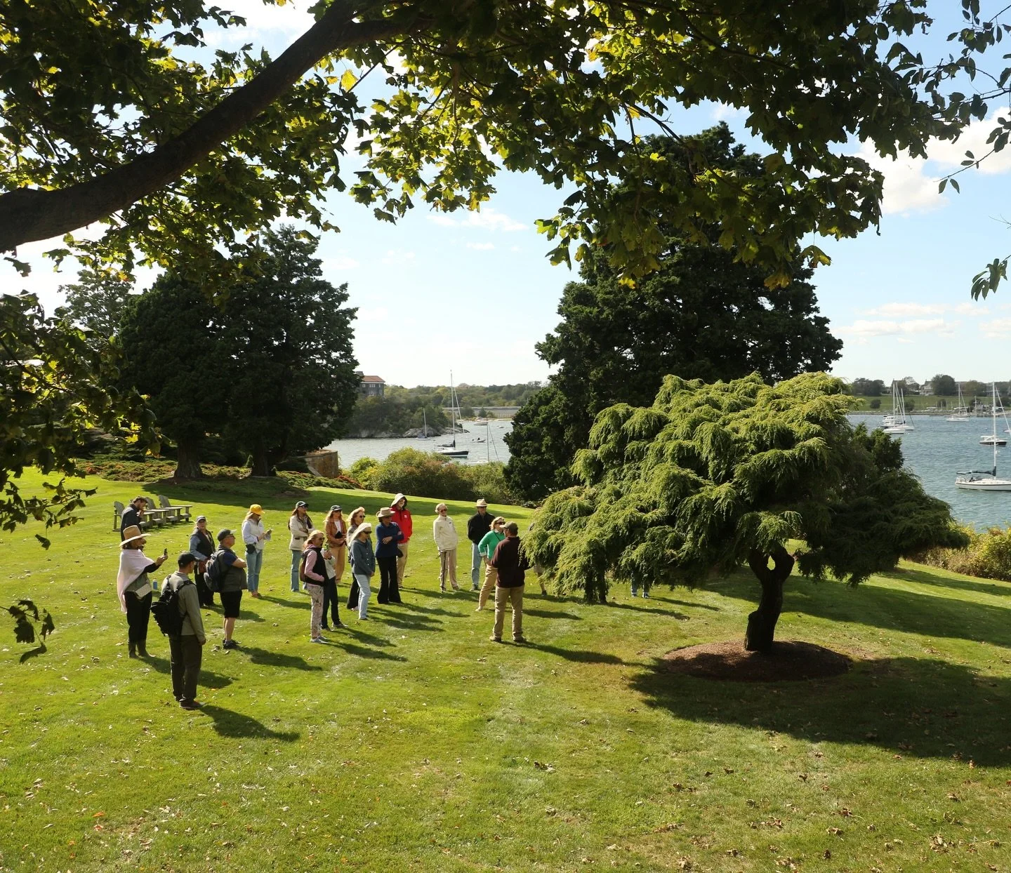 2025 was a year of growth, community, and appreciation for all the beauty this little town has to offer. Here&rsquo;s to more of that in 2026. ✨🌳