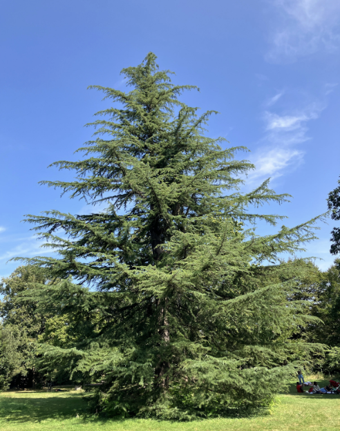 A Name That Traveled the World&nbsp;