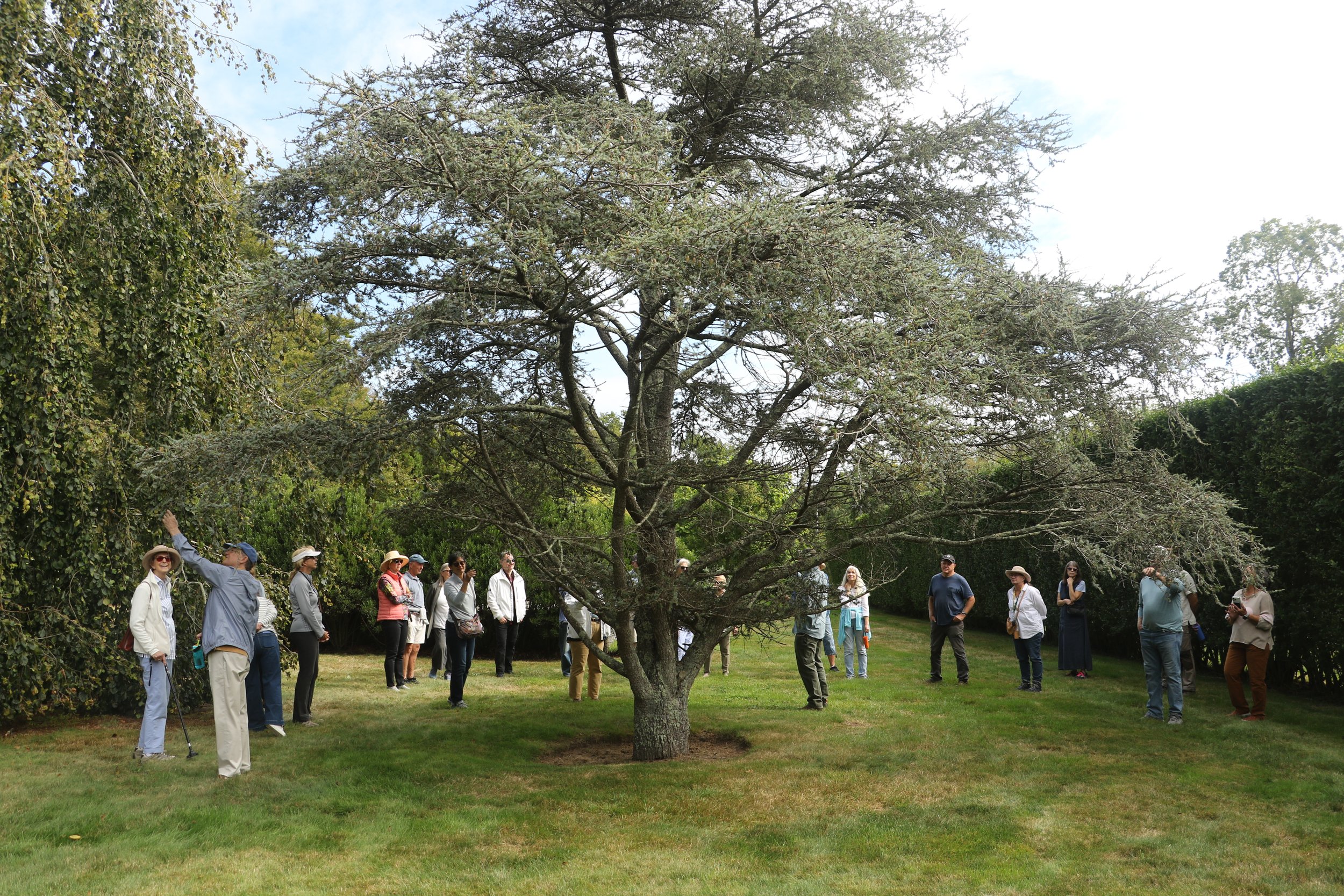 Arboretum Tour: Broadlawns