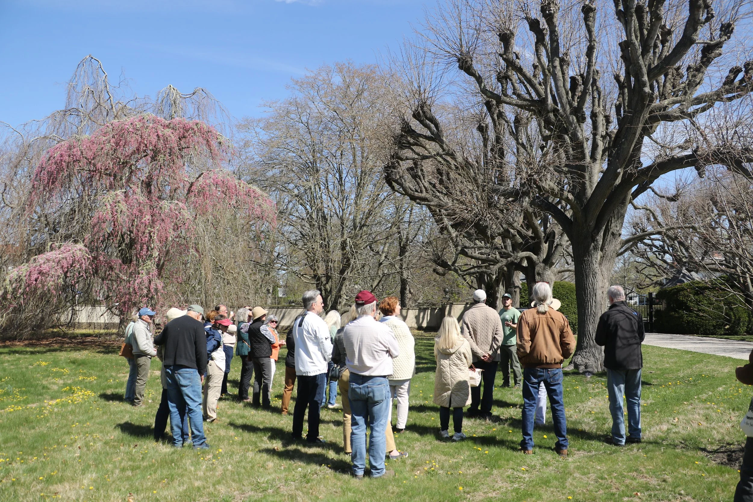 Arboretum Tour: Bois Doré 