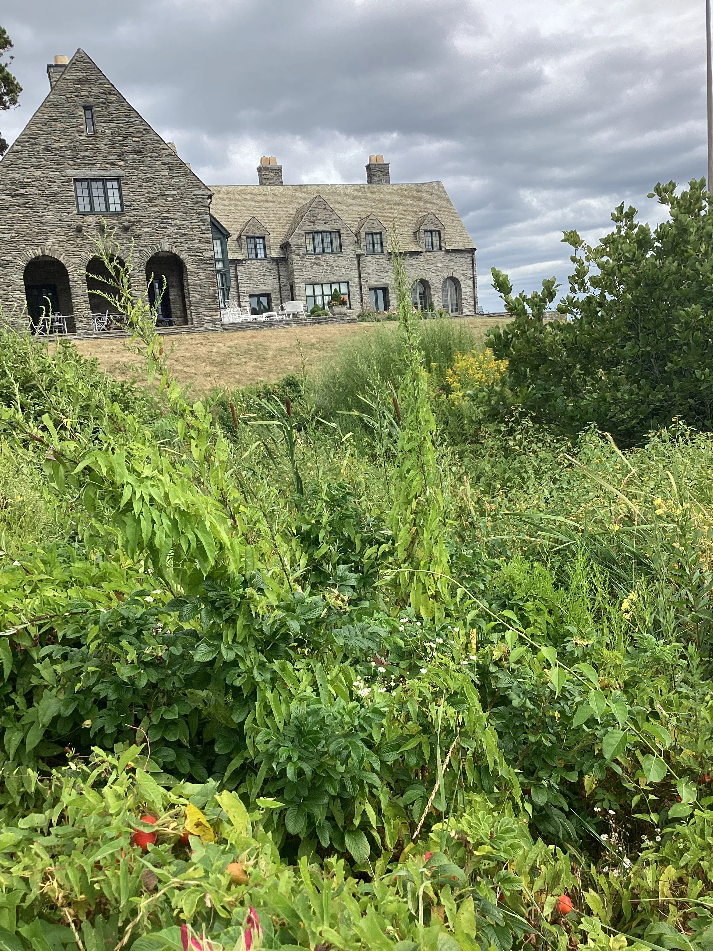 Arboretum Tour: Stonybrook 