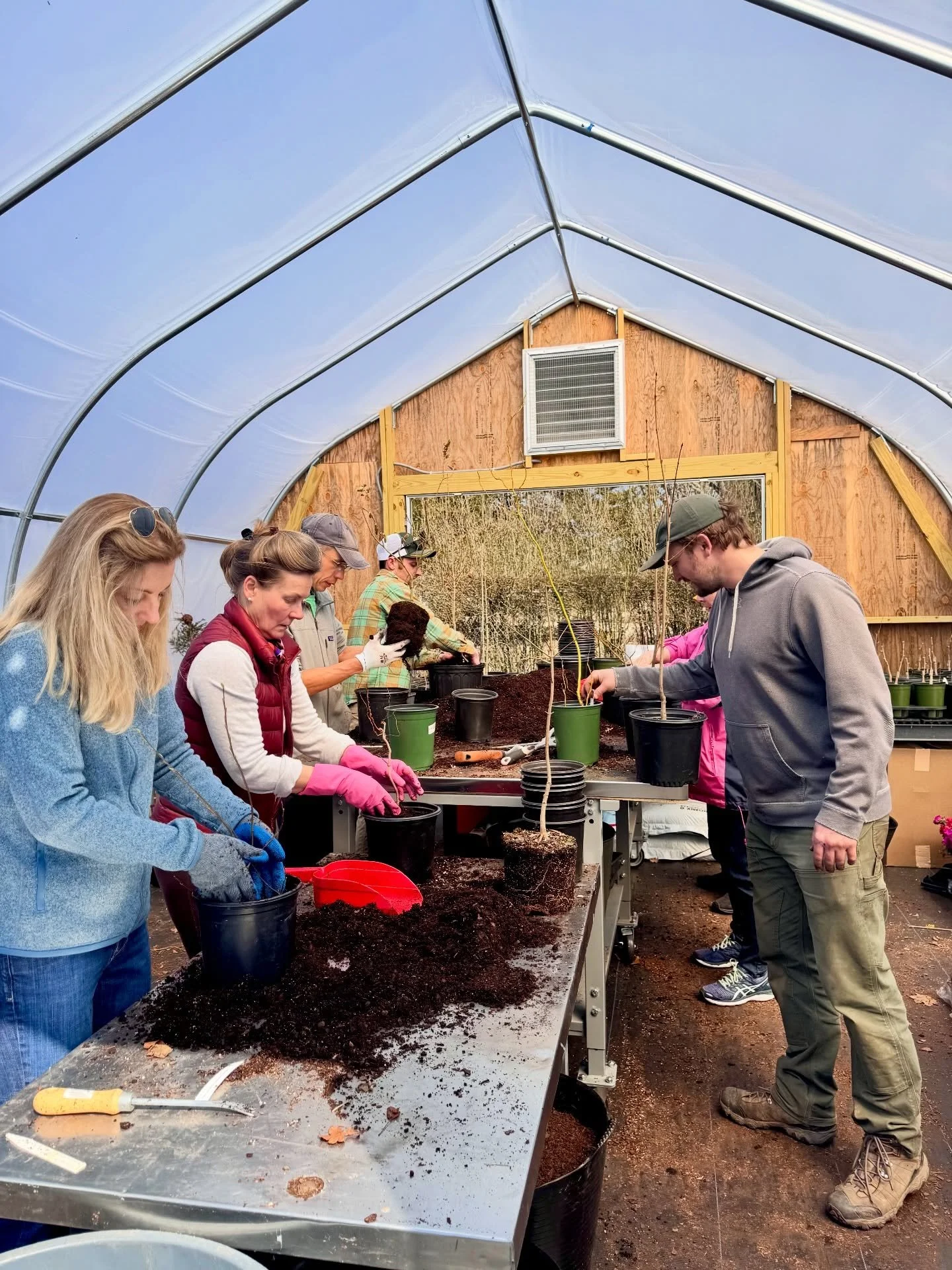 A big thank you to everyone who came to lend a helping hand for our Native Pot-Up event last Friday!🪴🧤

Stay tuned for our upcoming volunteer opportunities! Only a few more weeks until we kick off our Tree Corps Volunteer season - sign up for our n