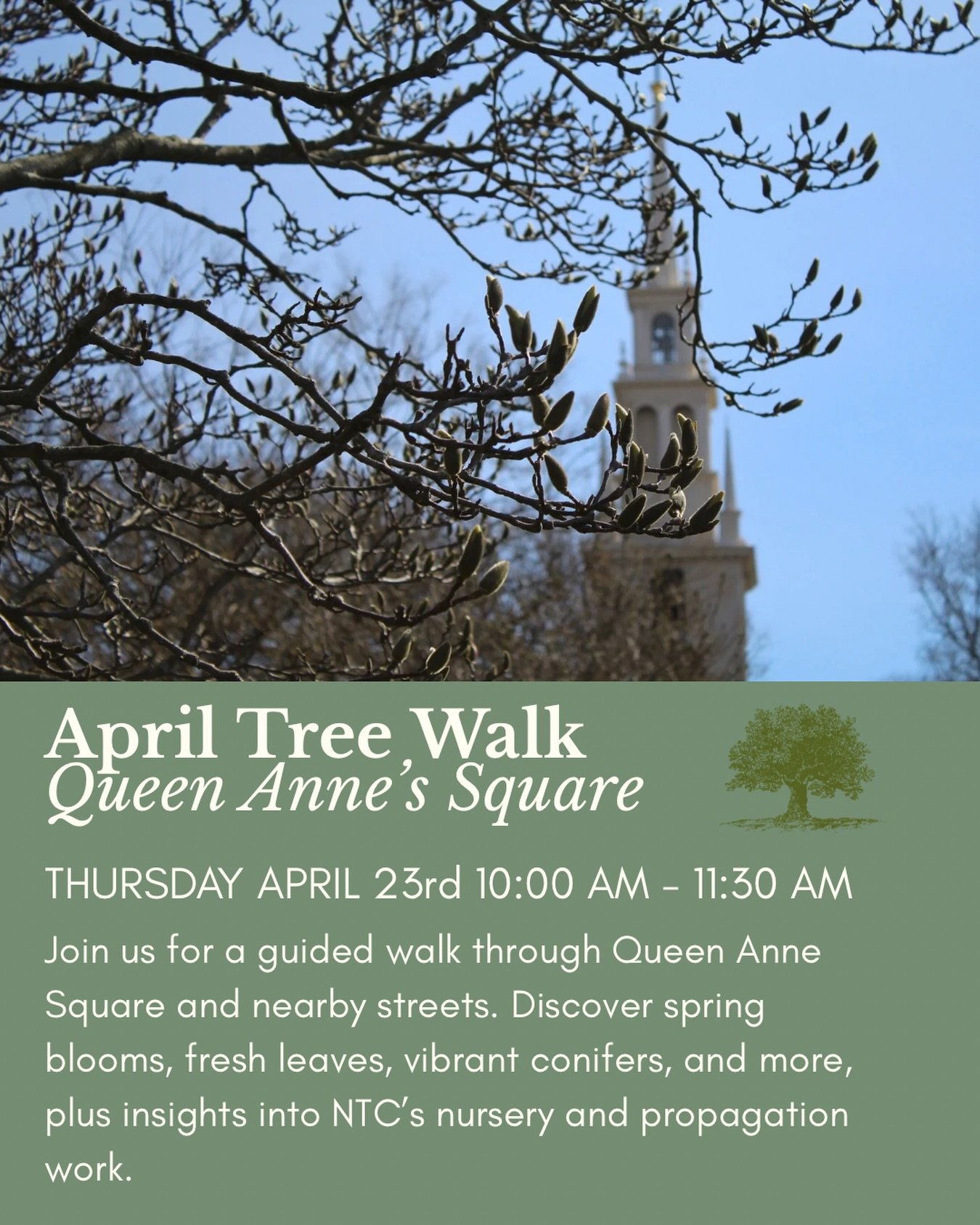 Catch NTC next Thursday at Queen Anne&rsquo;s Square! 🌸🌷

Our tree walks are free and open to all, however registration is required. Register through the link in our bio or click below. See ya there! 

🔗 https://www.newporttreeconservancy.org/even