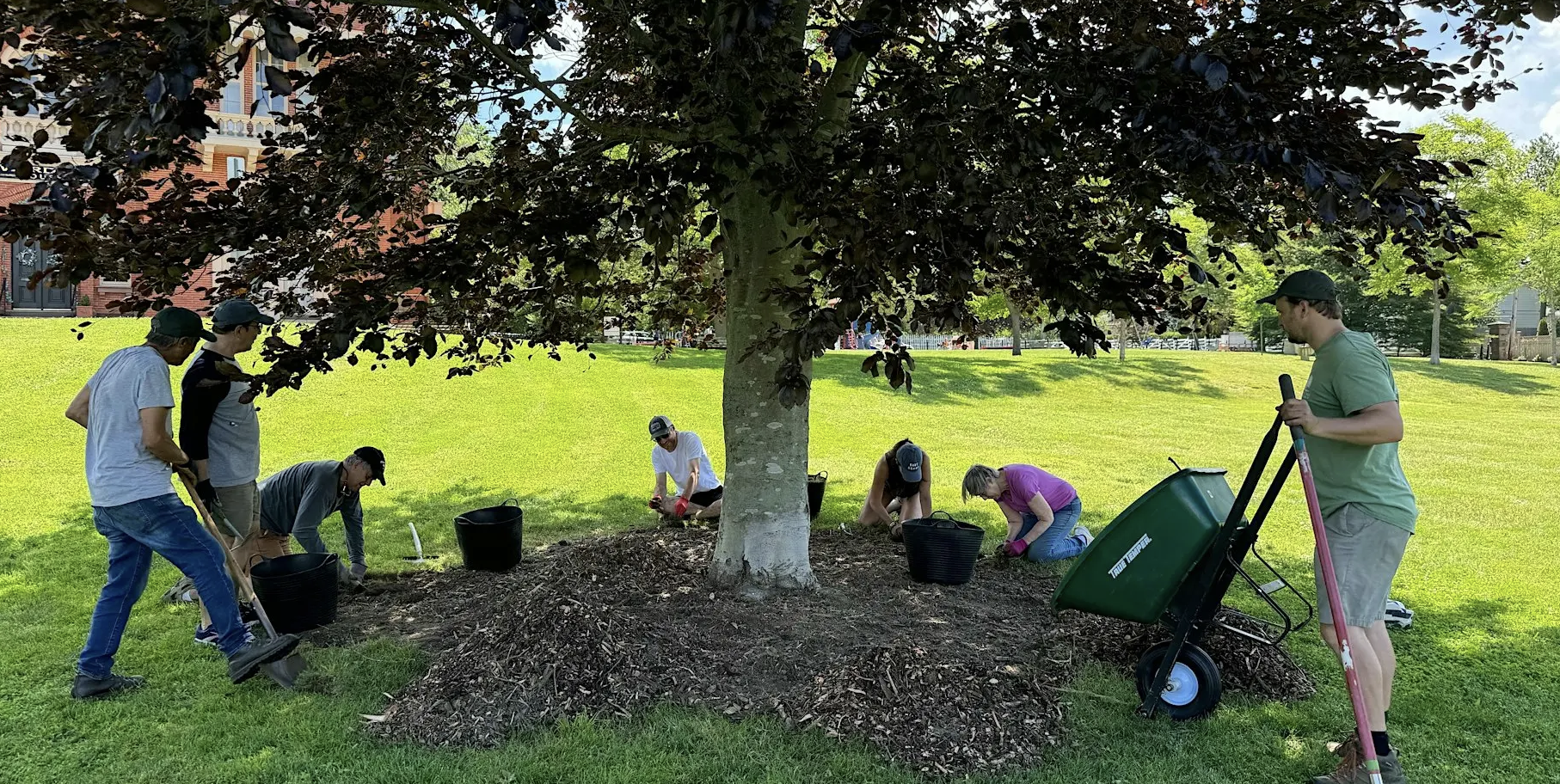 Tree Corps: Aquidneck Park